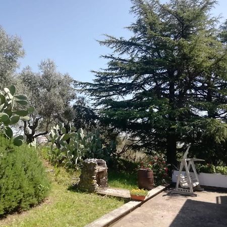 Apartmán La Campagna Di Rosy Genzano di Roma Exteriér fotografie