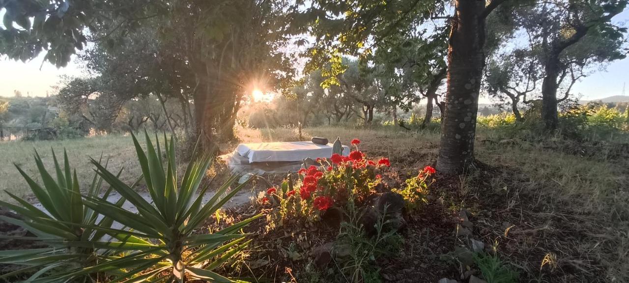 Apartmán La Campagna Di Rosy Genzano di Roma Exteriér fotografie