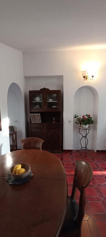 Apartmán La Campagna Di Rosy Genzano di Roma Exteriér fotografie