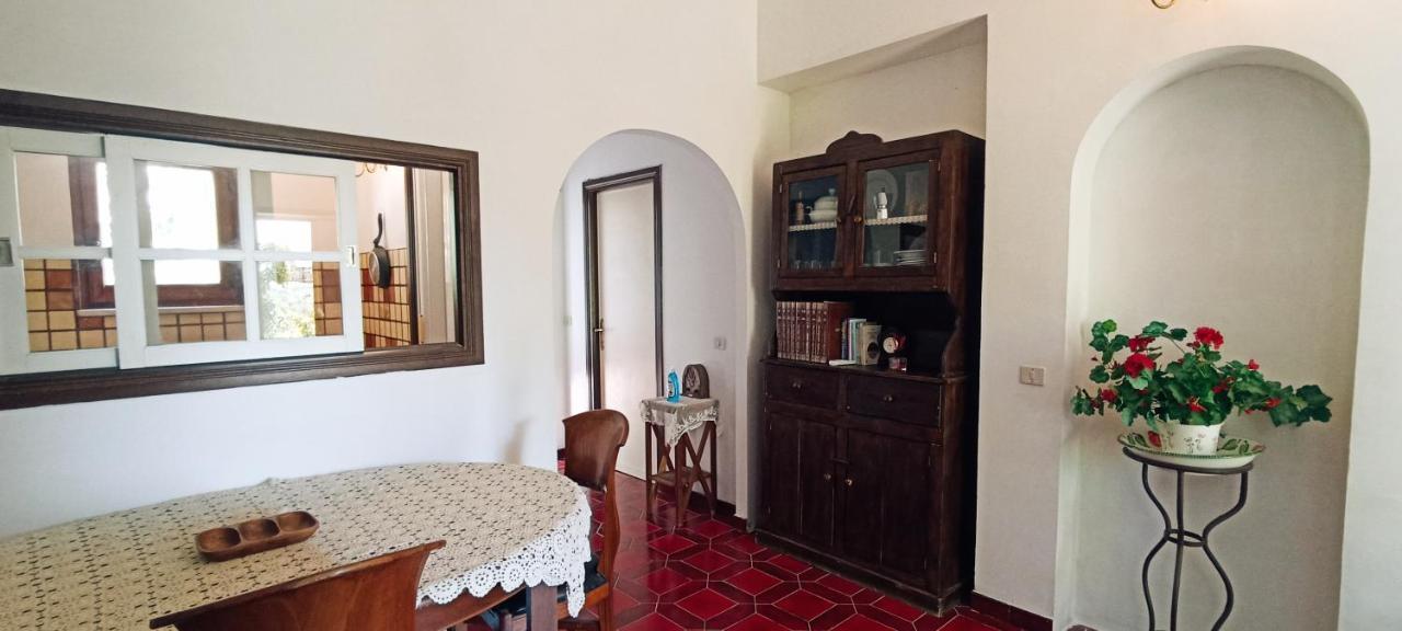 Apartmán La Campagna Di Rosy Genzano di Roma Exteriér fotografie